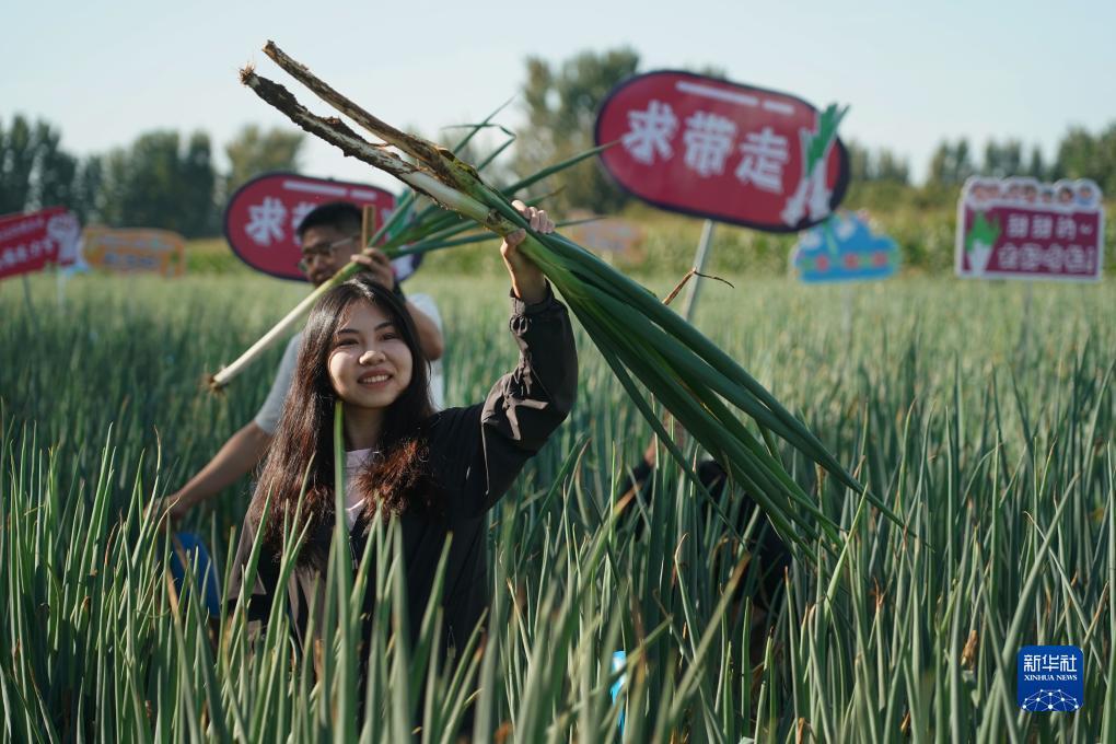 银河真人